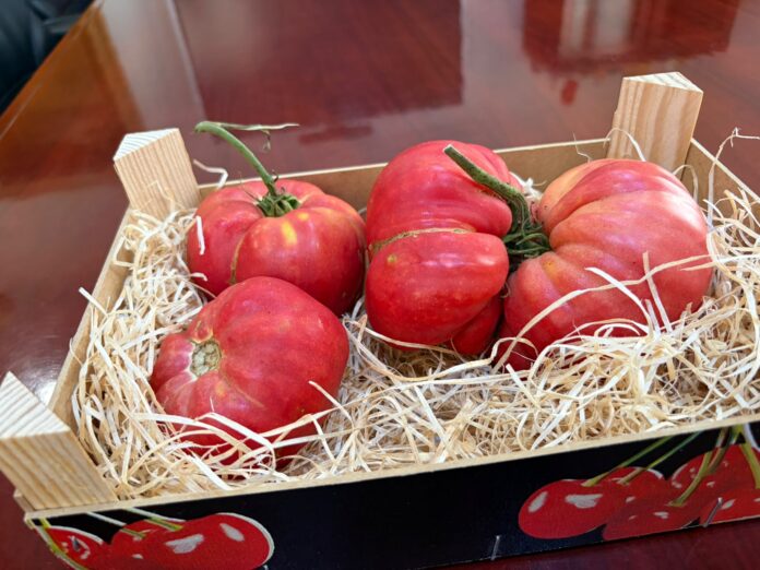 A crate of ripe red tomatoes nestled in straw inside a wooden box.