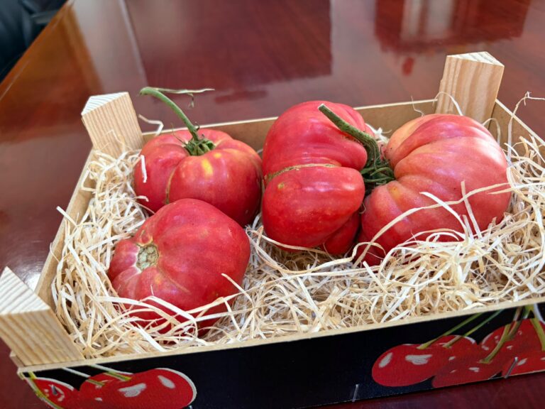 A crate of ripe red tomatoes nestled in straw inside a wooden box.