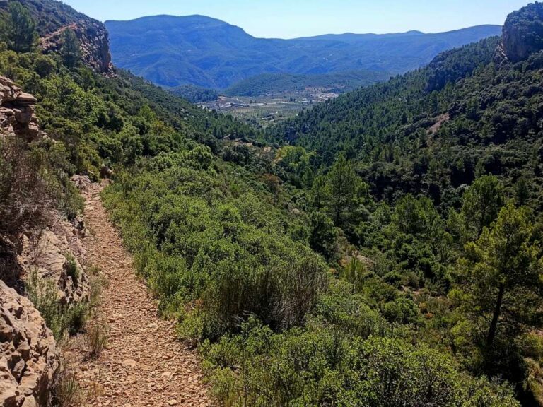 La Generalitat destina cerca de 400.000 euros para mejorar 24 senderos en municipios en riesgo de despoblamiento