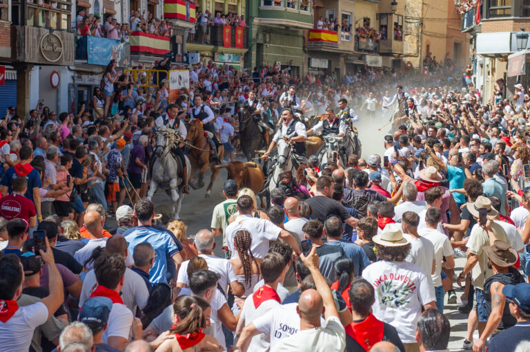 Segorbe abre la semana con una excelente Entrada de Toros y Caballos