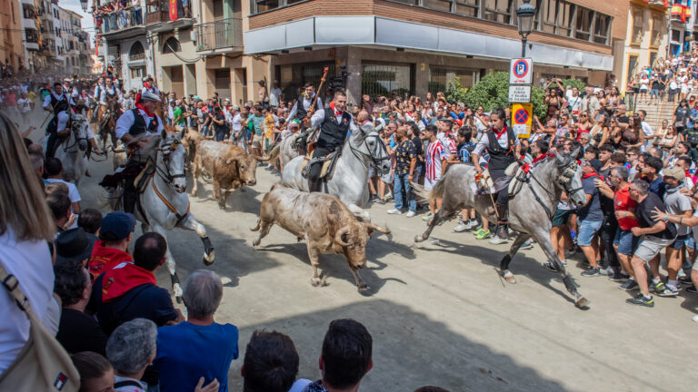 Trepidante y multitudinaria cuarta Entrada de Toros y Caballos en Segorbe